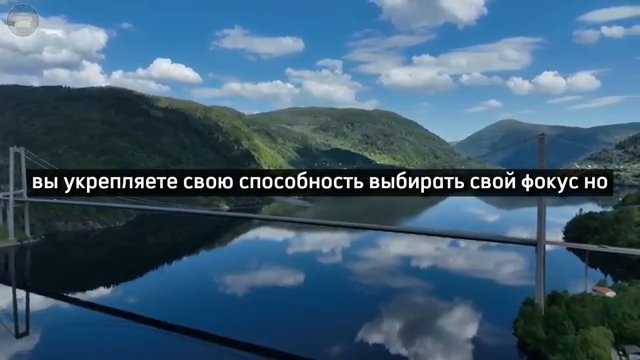 Фокус внимания в трейдинге: почему мозг работает против вас
