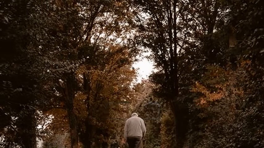 Психология трейдинга редко сводится к формуле «прочитал график правильно —… (15:56)